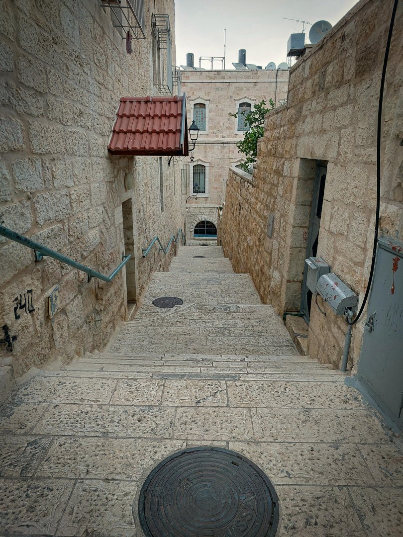 Best SEO Tips for Beginners in 2025